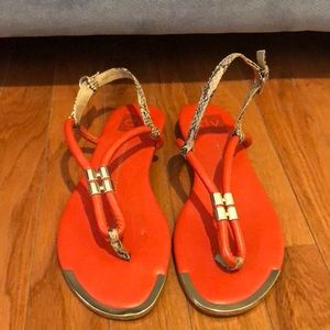 Coral and Snake Skin Flat Sandal; Size 6